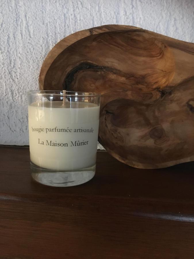 La Maison Murier Chef-Boutonne Eksteriør billede